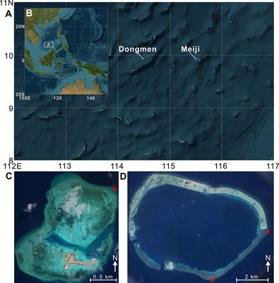 Coral reef resilience persisted for a millennium but has declined rapidly in recent decades